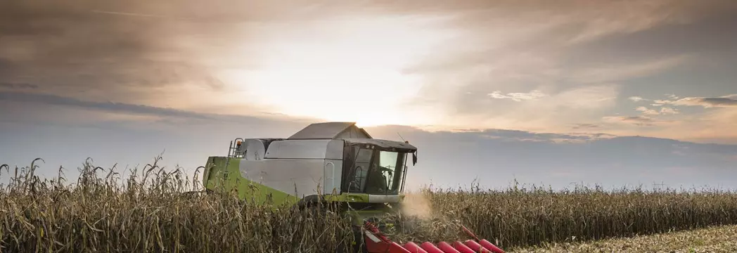 tr